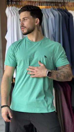 CAMISETA CASUAL ACOSTAMENTO 120902000
